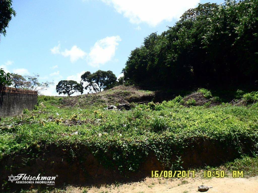 Terreno à venda, 6600M2 - Foto 11