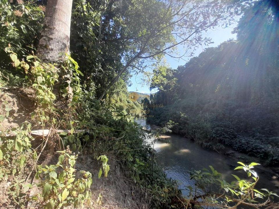 Terreno à venda - Foto 4