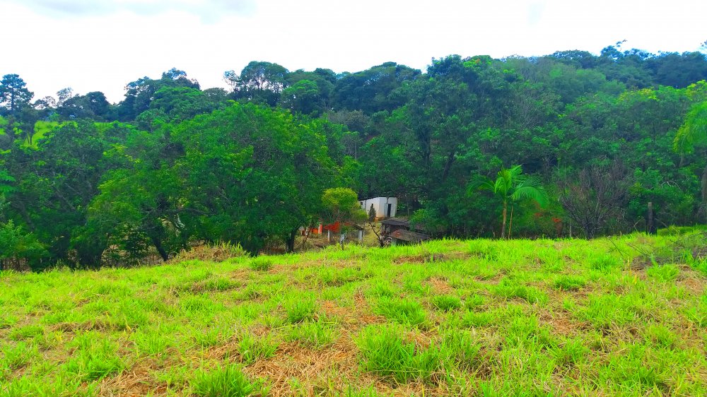 Terreno à venda, 1300m² - Foto 11