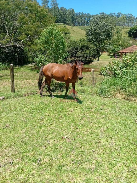 Chácara, 2 quartos, 2 hectares - Foto 1