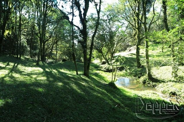 Terreno à venda - Foto 4