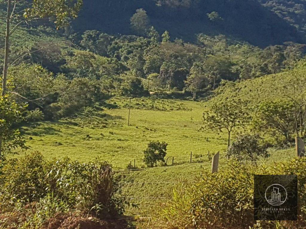 Fazenda-Sítio-Chácara, 20 hectares - Foto 4