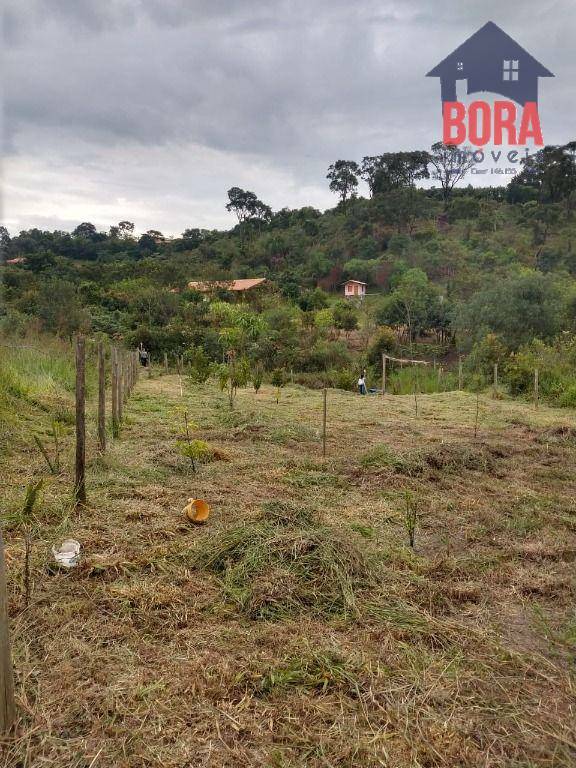 Terreno à venda, 1225M2 - Foto 2