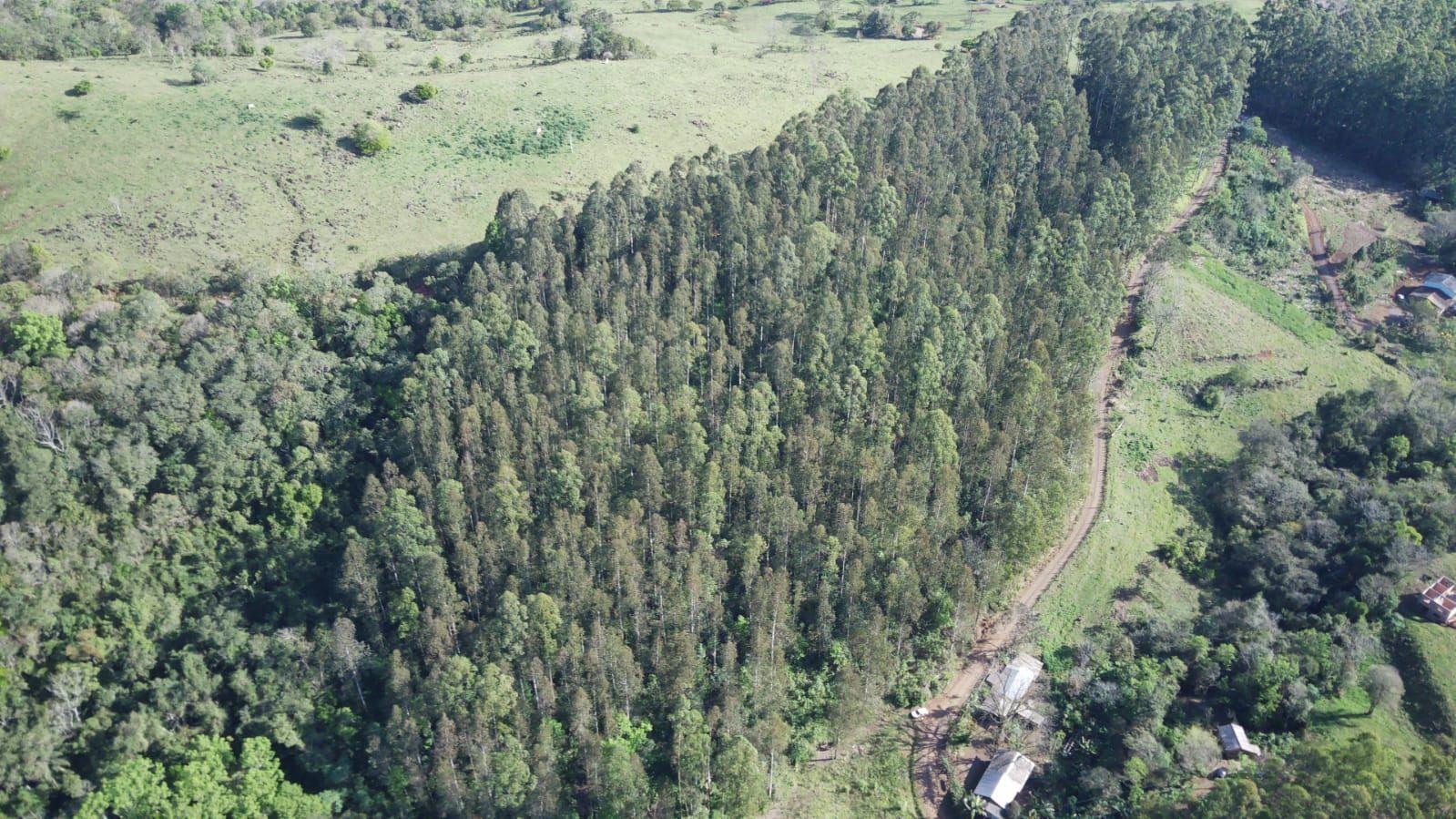 Terreno à venda, 40000m² - Foto 2