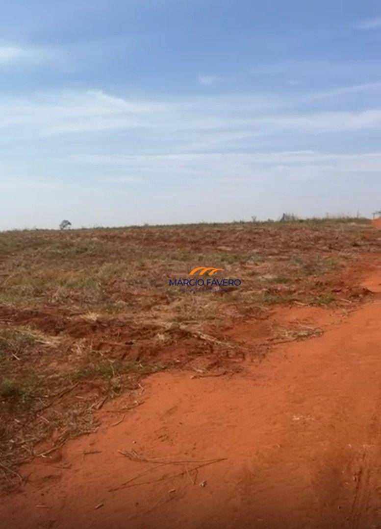 Fazenda, 121 hectares - Foto 2