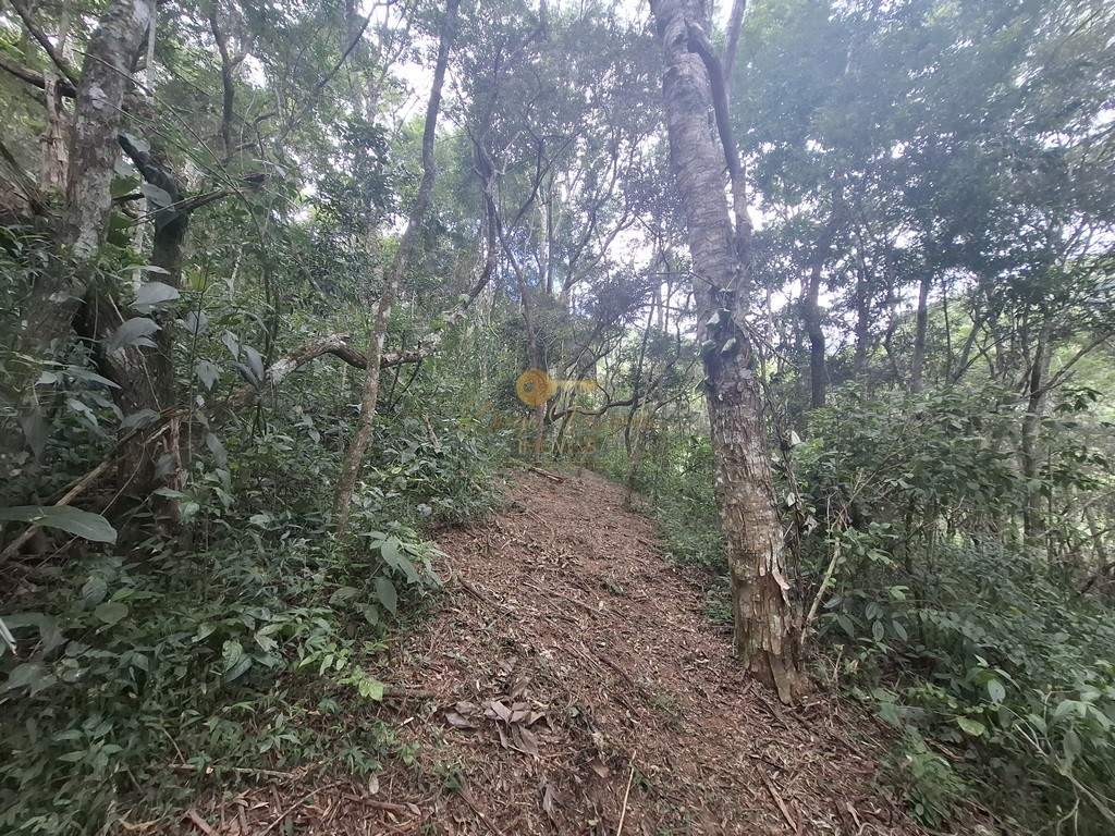 Terreno à venda, 216036m² - Foto 14