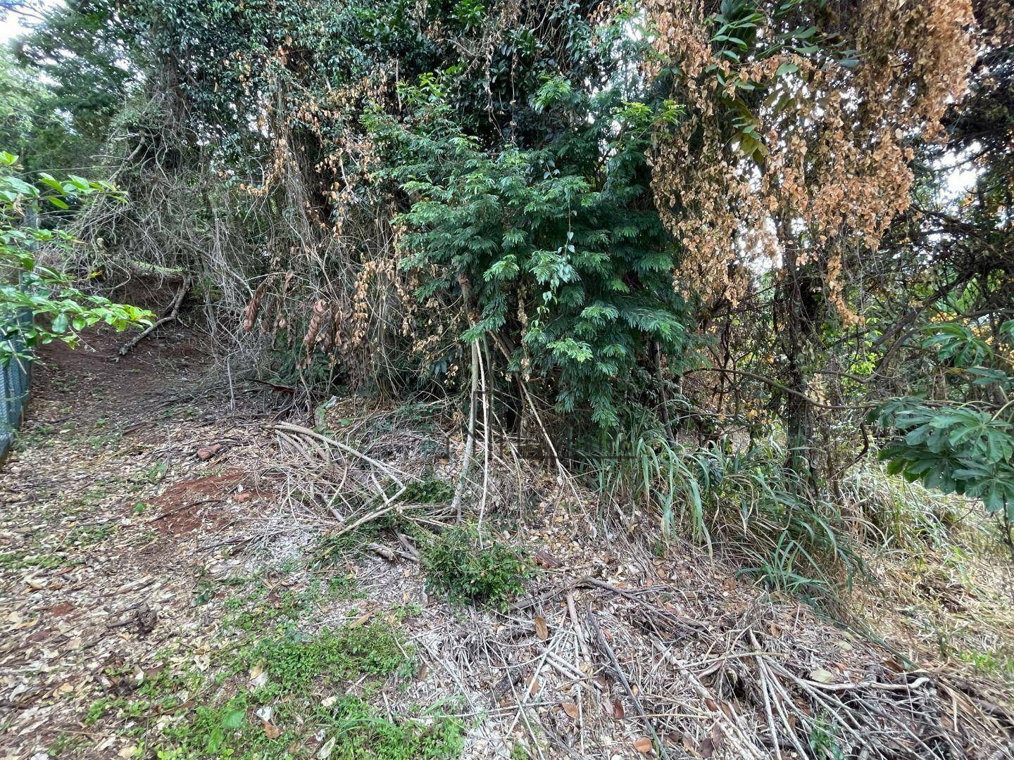 Loteamento e Condomínio à venda, 3070M2 - Foto 6