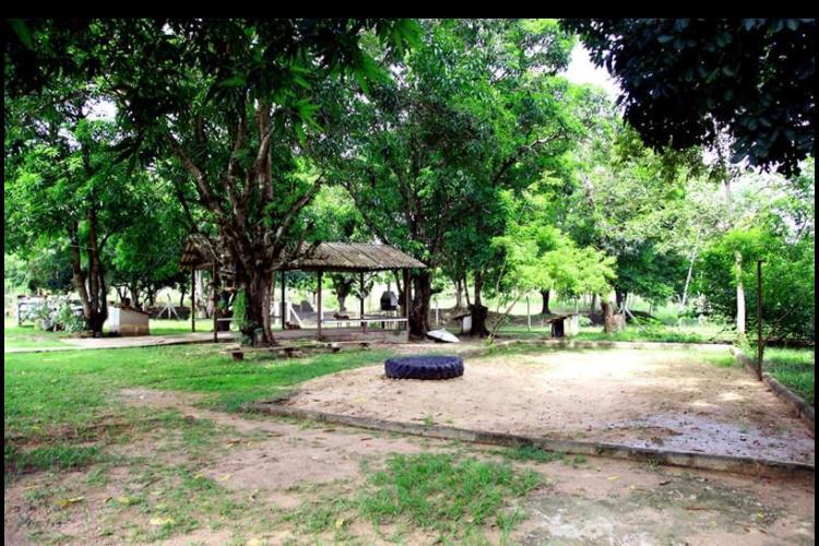 Chácara à venda com 3 quartos, 30000m² - Foto 24