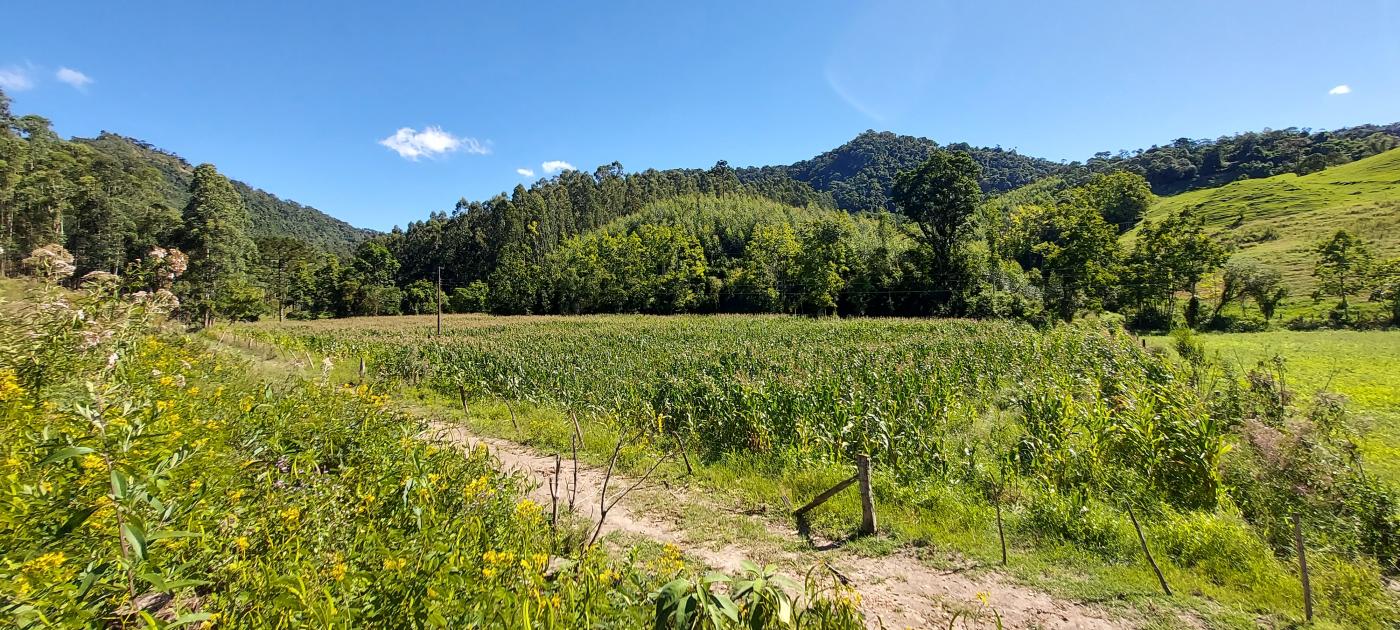 Fazenda à venda, 100000m² - Foto 6