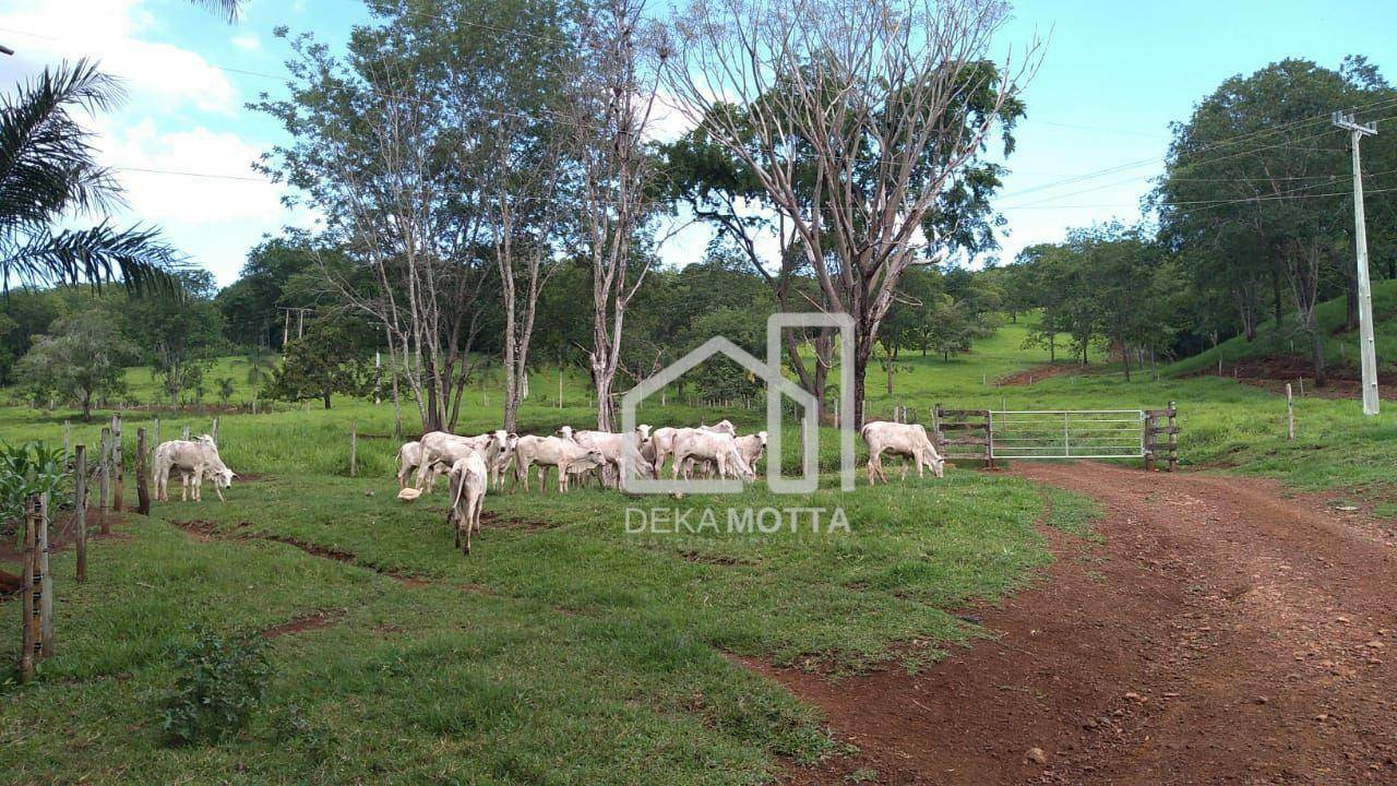 Fazenda à venda com 3 quartos, 250000M2 - Foto 17