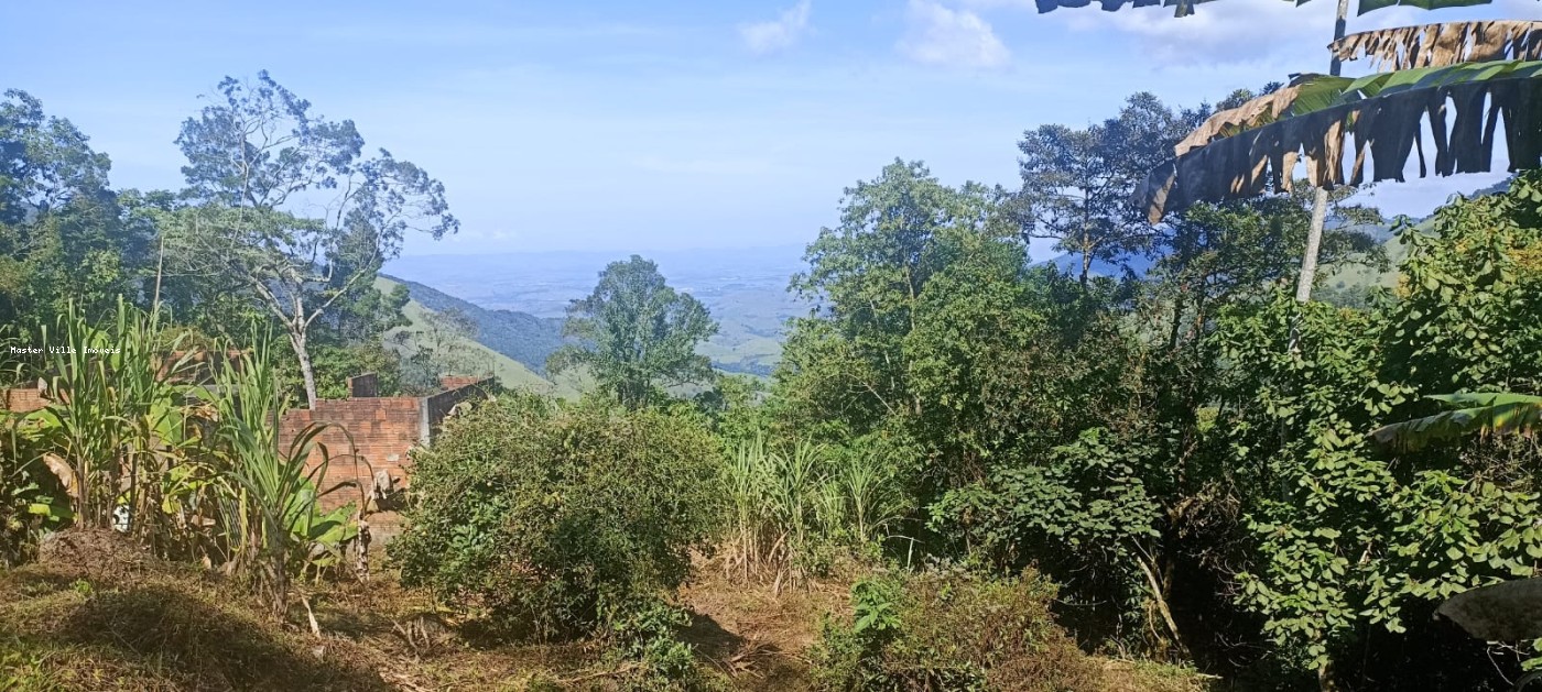 Terreno, 2 hectares - Foto 2