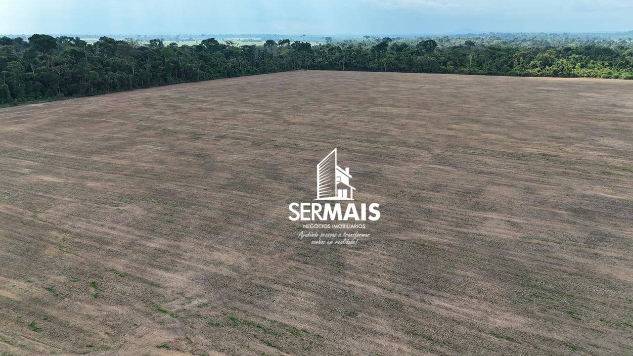 Fazenda, 242 hectares - Foto 4