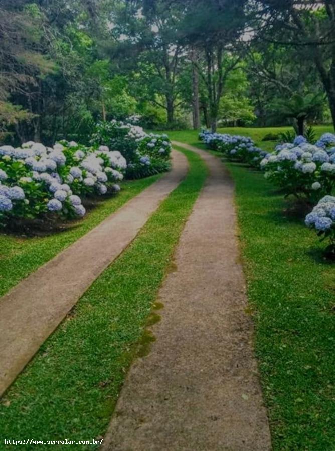 Fazenda à venda com 4 quartos, 15000m² - Foto 34