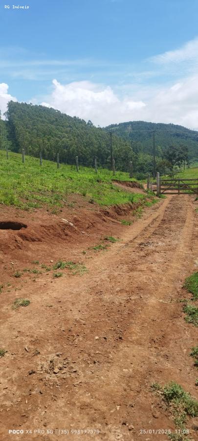 Sítio à venda com 2 quartos, 726000m² - Foto 6