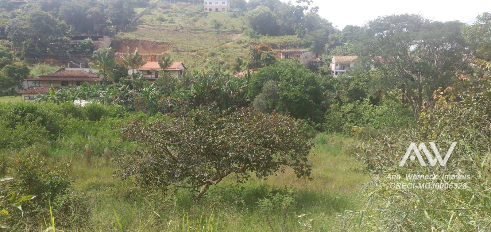 Terreno à venda, 2000M2 - Foto 5