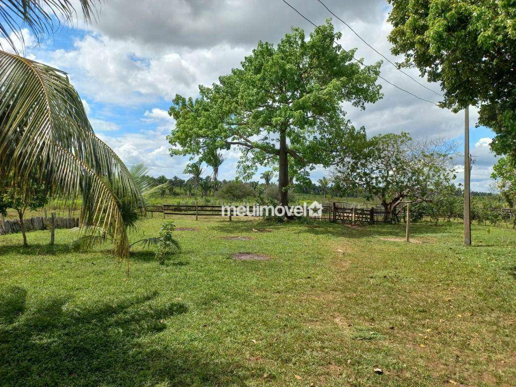 Fazenda-Sítio-Chácara, 200 hectares - Foto 2