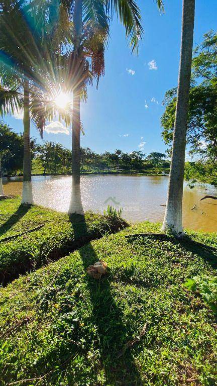 Fazenda, 286 hectares - Foto 2