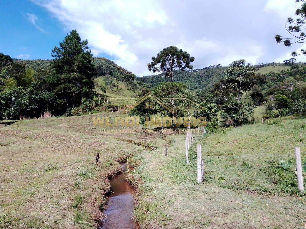 Fazenda à venda, 32m² - Foto 39