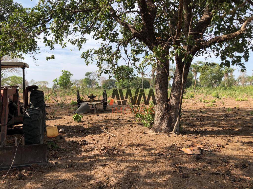 Fazenda-Sítio-Chácara, 1462 hectares - Foto 16