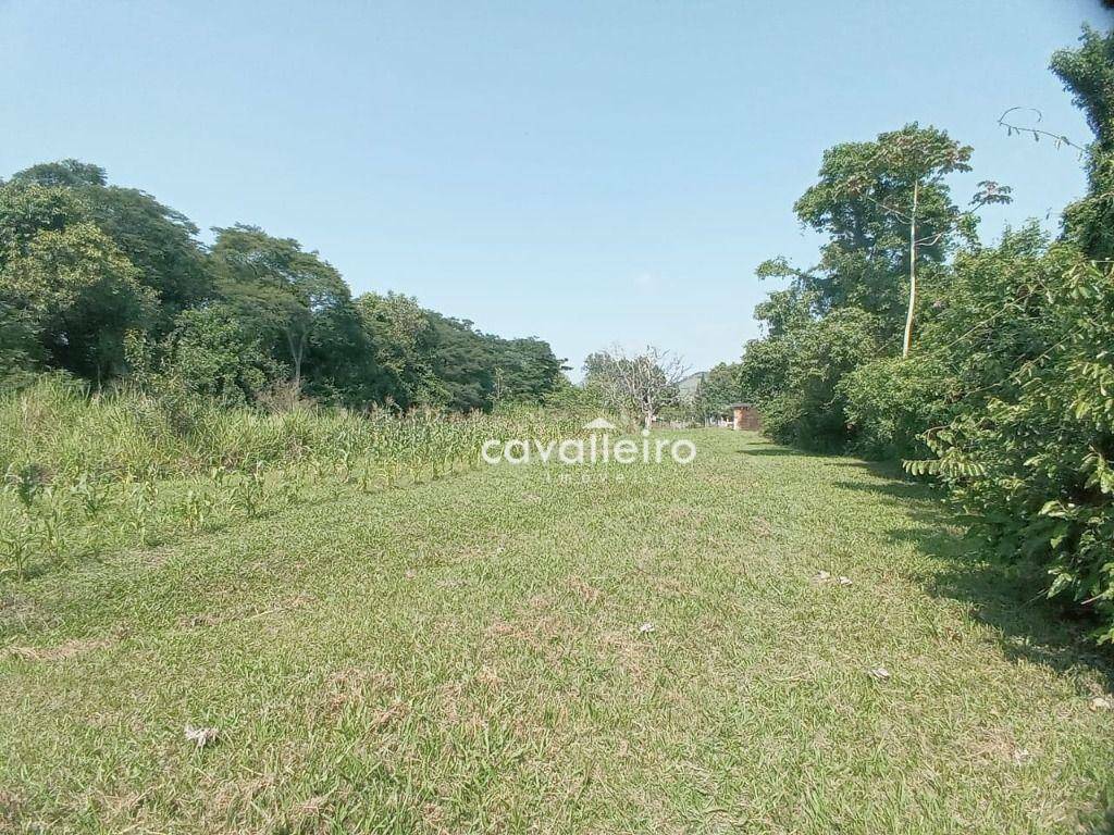 Sítio à venda com 4 quartos, 300m² - Foto 55