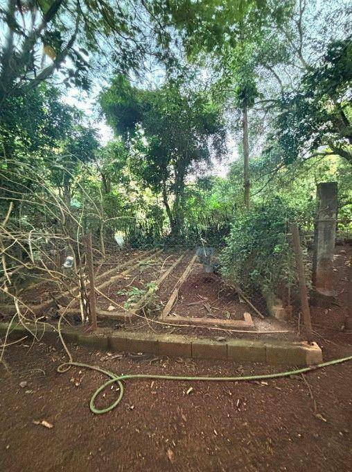 Chácara à venda com 3 quartos, 200m² - Foto 40