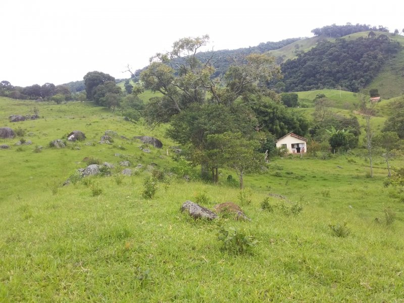 Terreno à venda, 24000m² - Foto 5