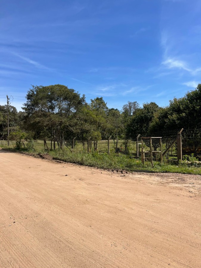 Chácara, 10000 m² - Foto 32