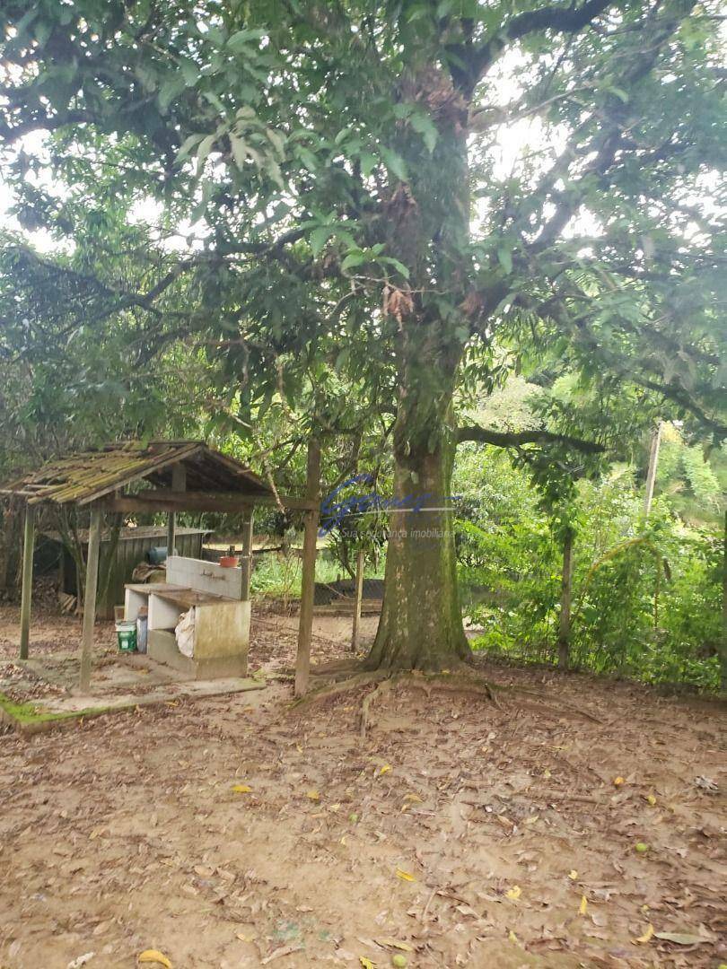 Fazenda à venda com 1 quarto, 160M2 - Foto 8