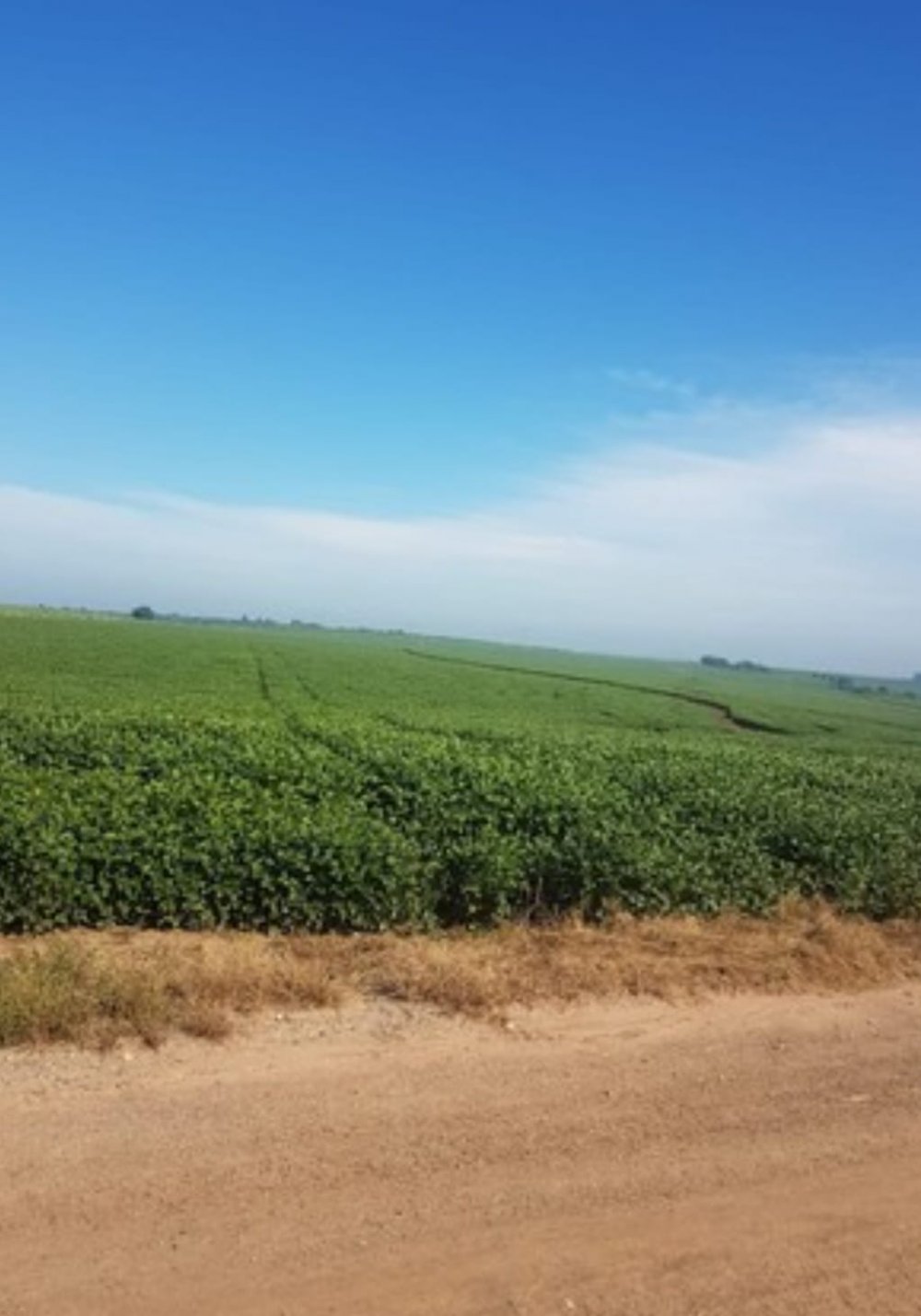 Fazenda, 458 hectares - Foto 1