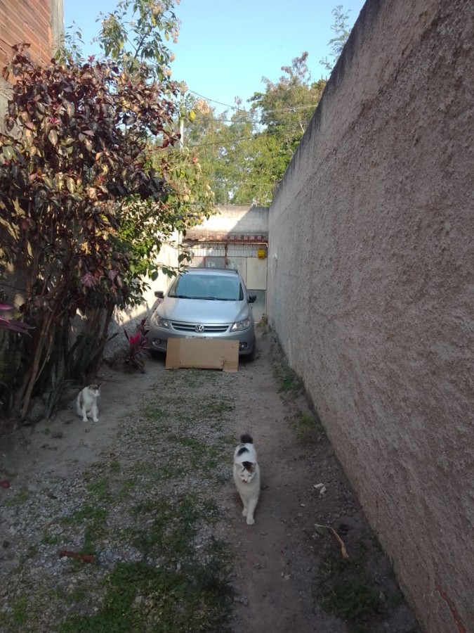 Casa à venda com 2 quartos - Foto 4