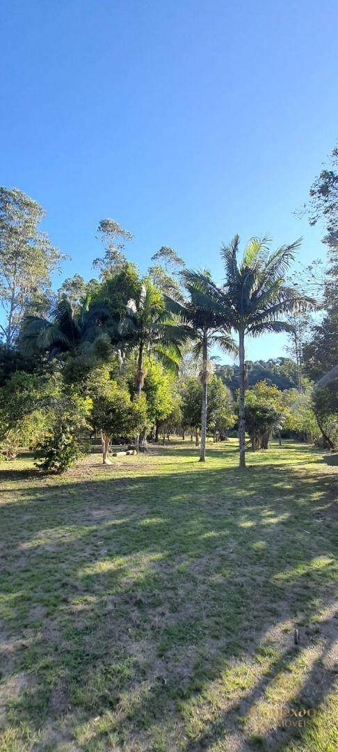 Chácara, 3 quartos, 5000 m² - Foto 47