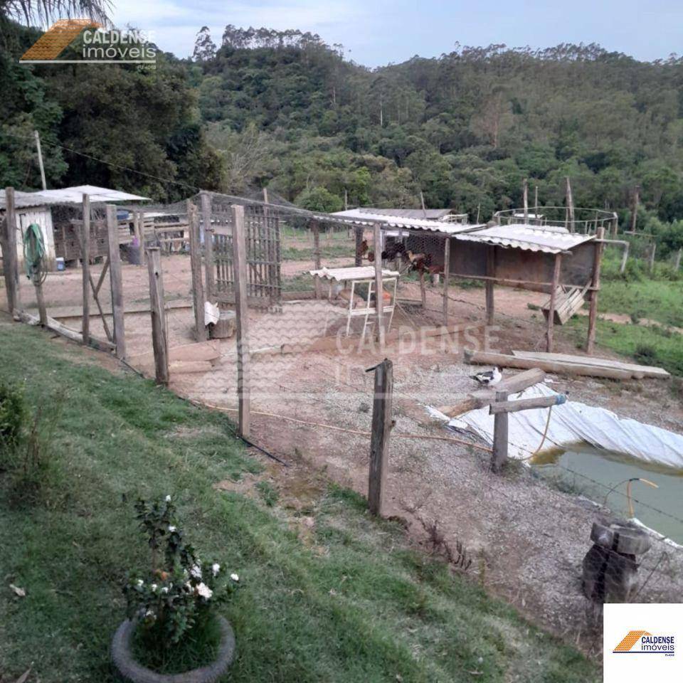 Sítio, 2 quartos, 4 hectares - Foto 4