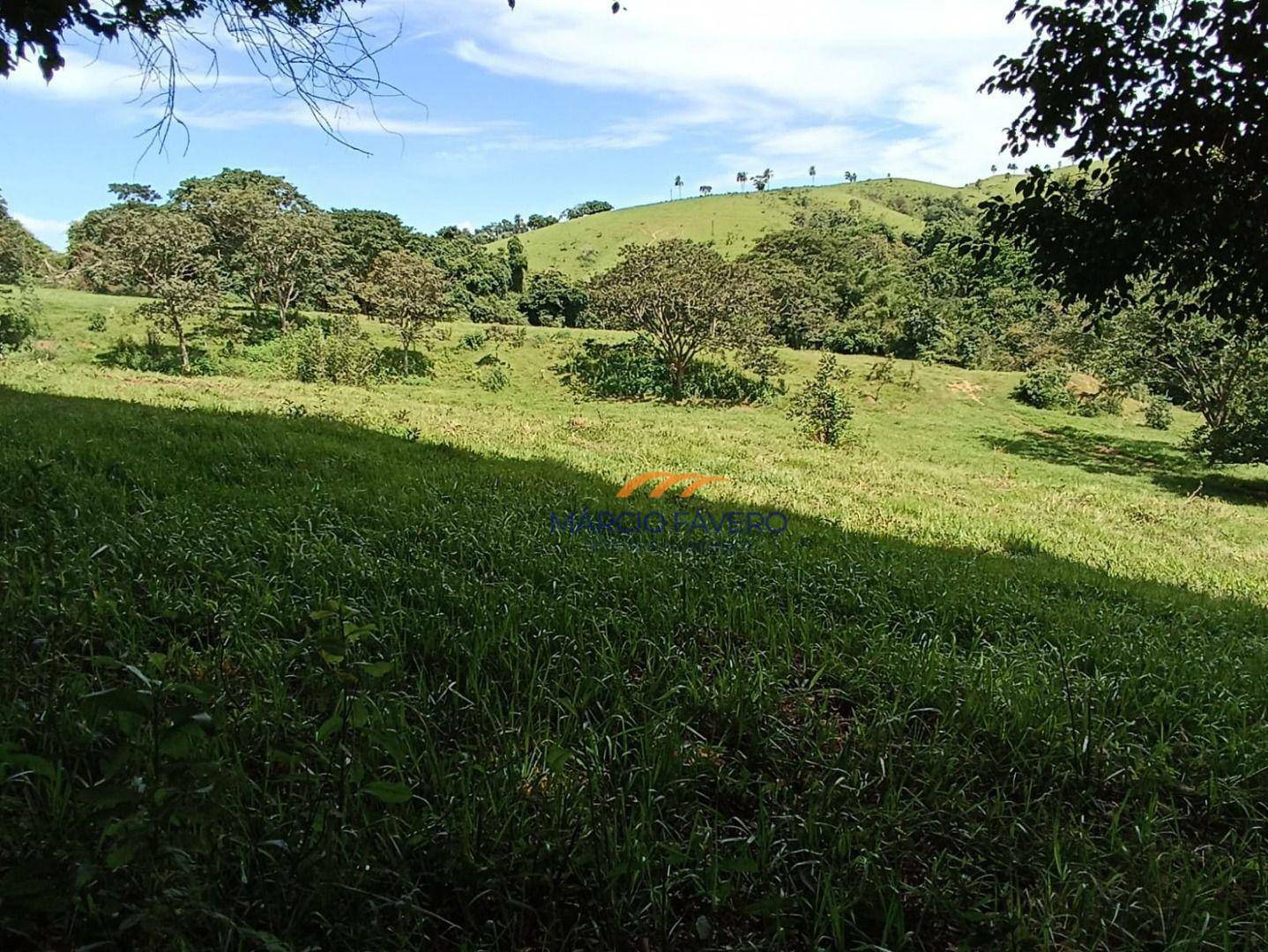 Fazenda à venda, 2904000M2 - Foto 7