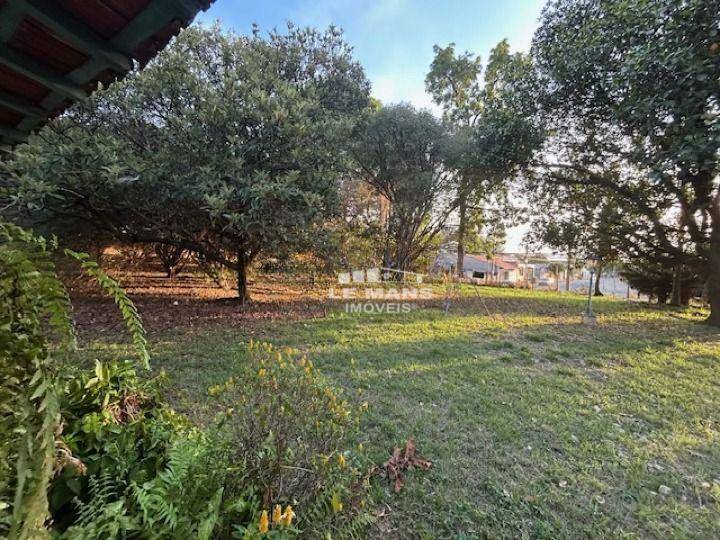 Chácara, 6 quartos, 3 hectares - Foto 3