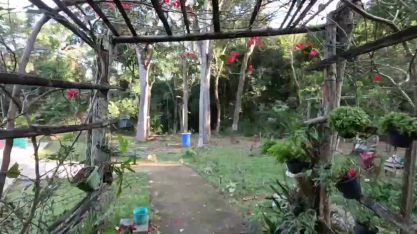 Chácara à venda com 2 quartos, 17500m² - Foto 20
