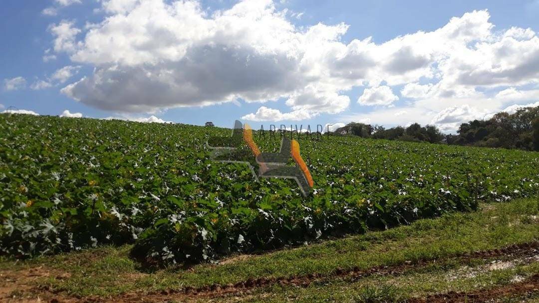 Terreno à venda, 185000M2 - Foto 1