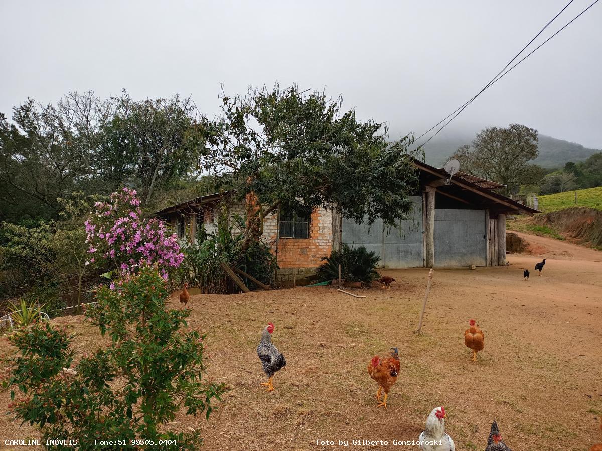 Fazenda à venda com 3 quartos, 586000m² - Foto 6