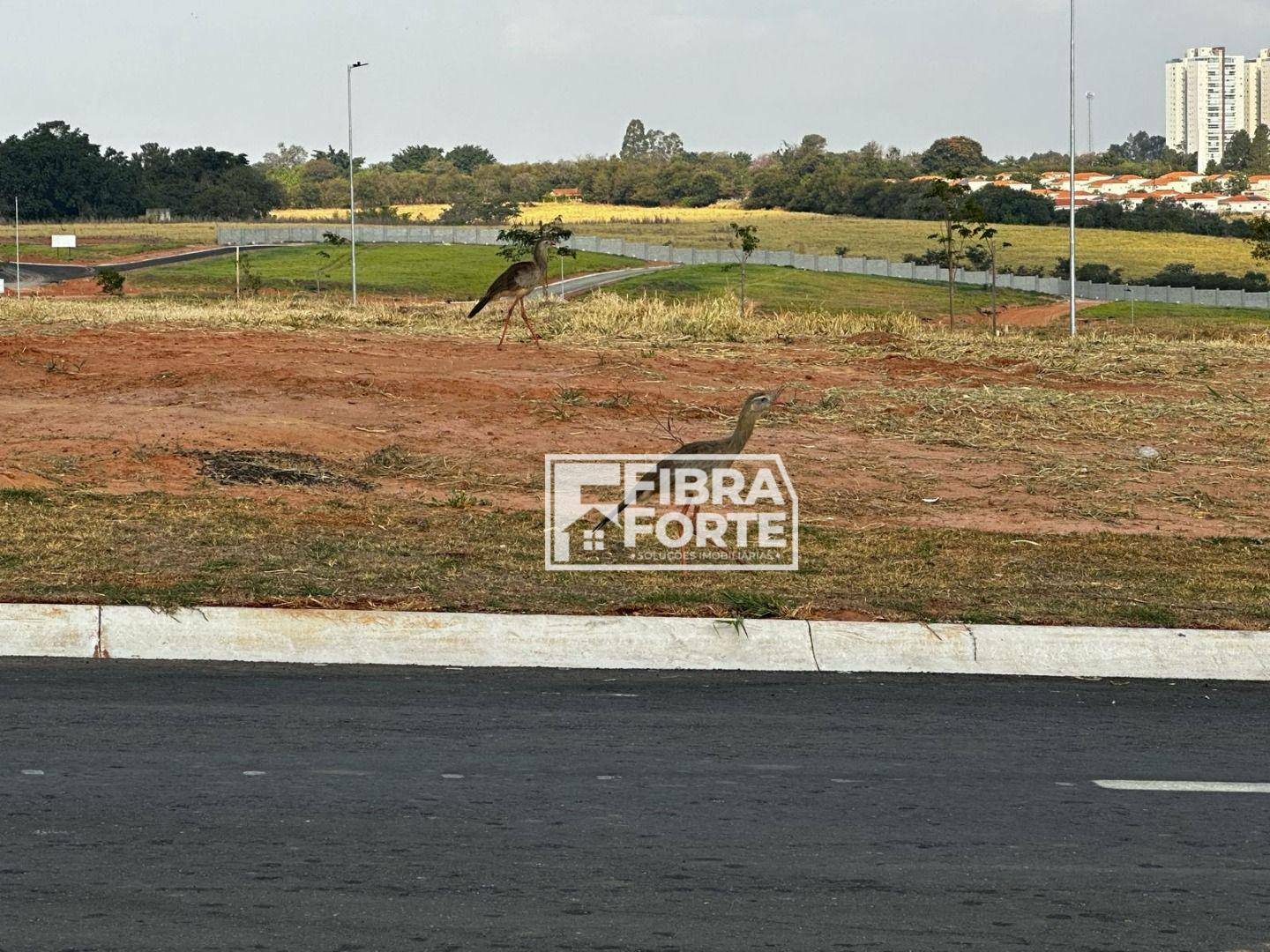 Loteamento e Condomínio à venda, 364M2 - Foto 4