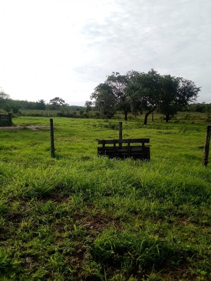 Fazenda à venda, 685m² - Foto 3