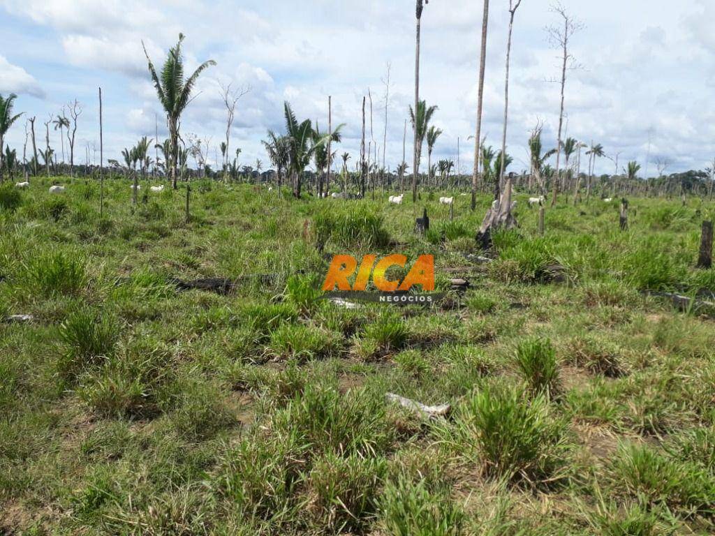 Fazenda à venda, 1150000M2 - Foto 64