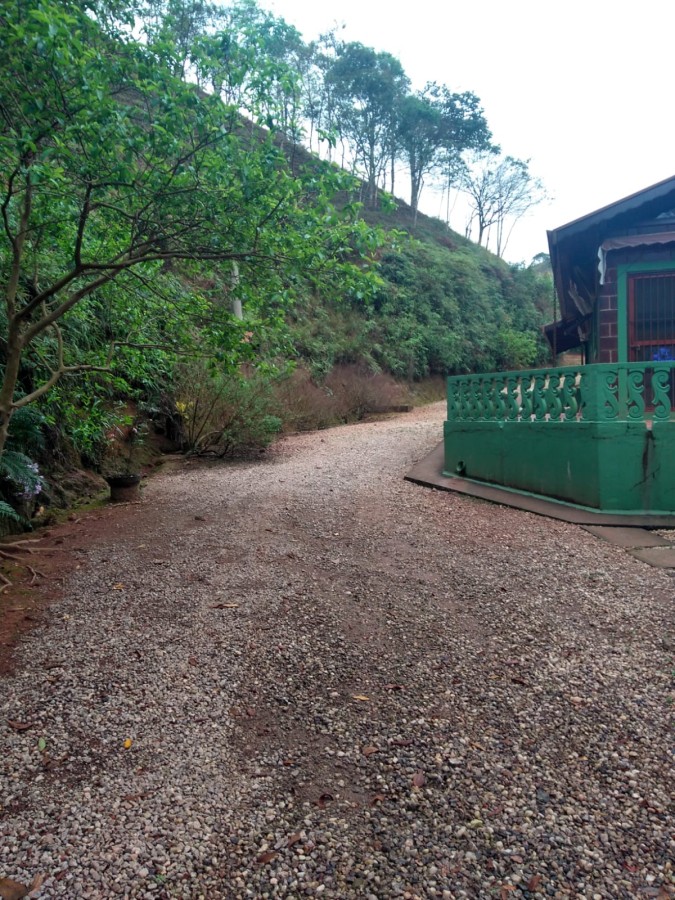 Terreno, 7 hectares - Foto 8