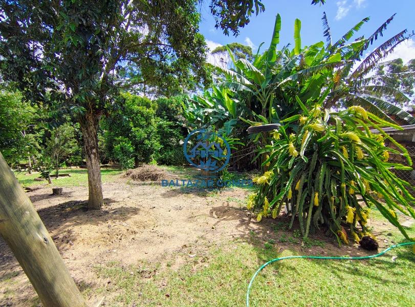 Sítio à venda com 2 quartos, 1031m² - Foto 11