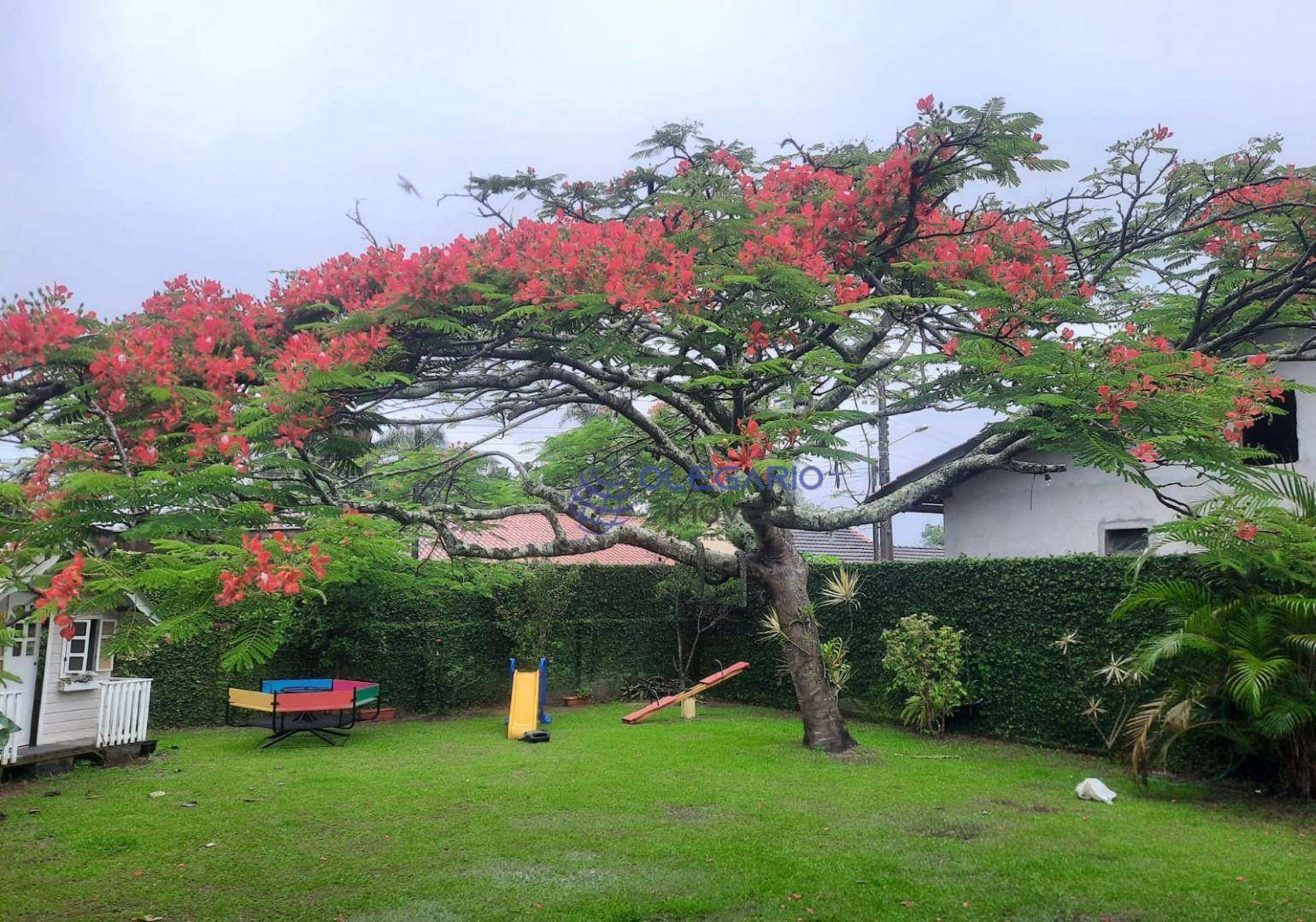 Casa à venda com 4 quartos, 160m² - Foto 6