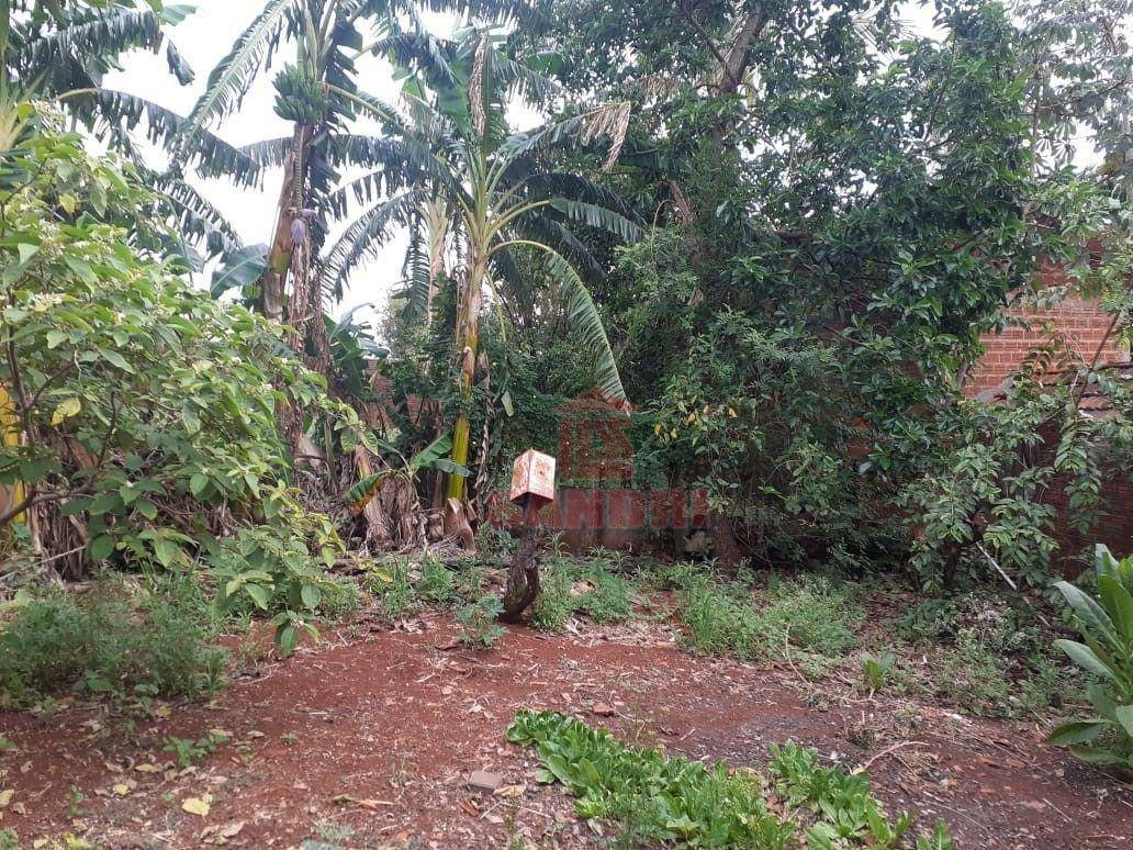 Casa à venda com 4 quartos, 205m² - Foto 14