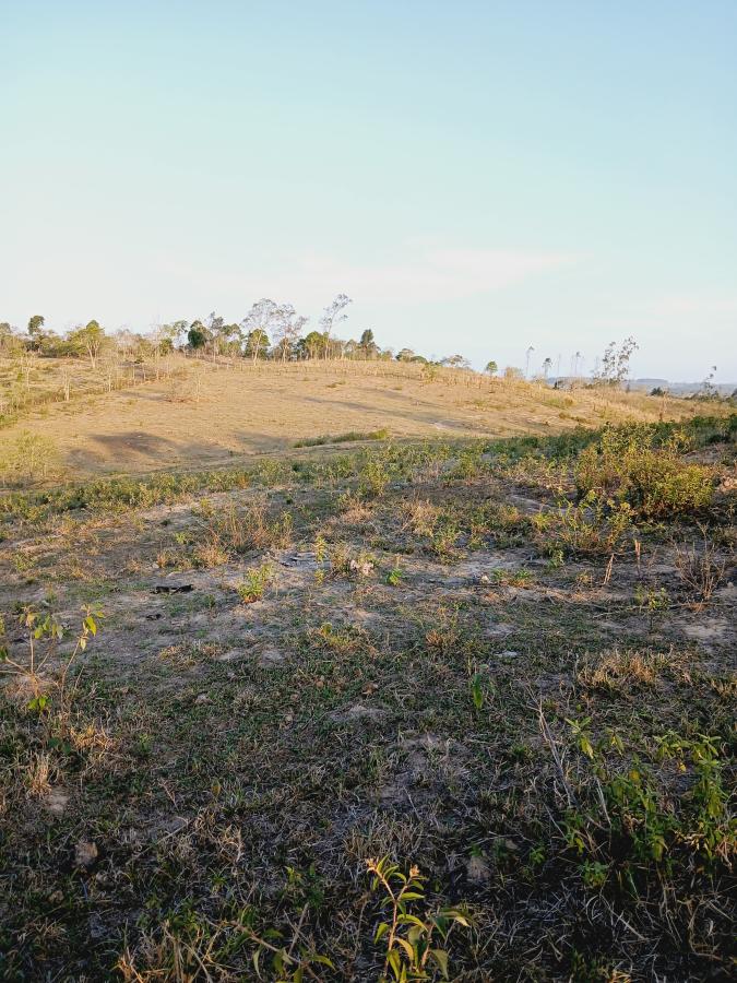 Fazenda à venda com 2 quartos, 146000m² - Foto 16