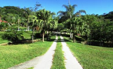 Fazenda à venda com 3 quartos, 33200m² - Foto 17