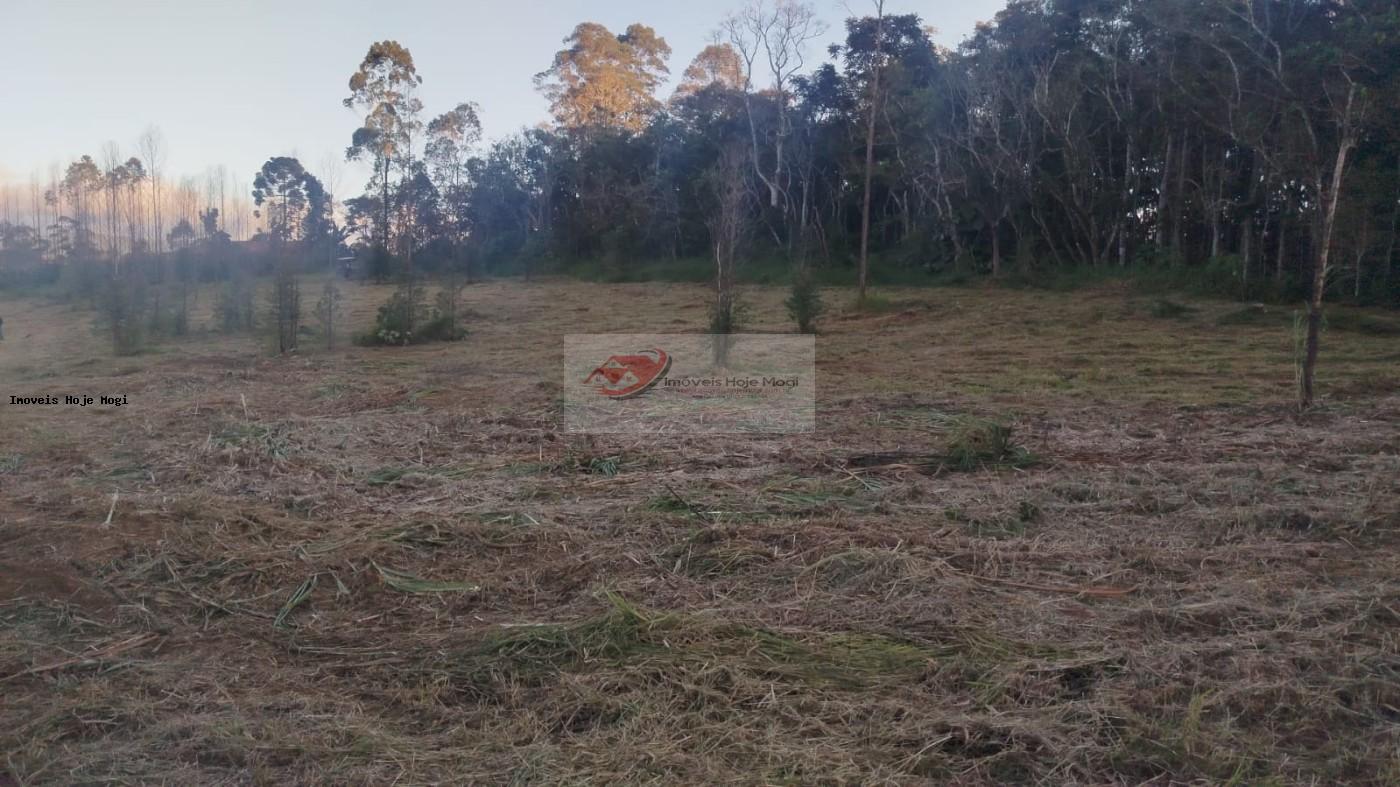 Terreno à venda, 5000m² - Foto 6
