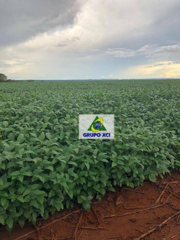 Fazenda à venda, 24900000M2 - Foto 10