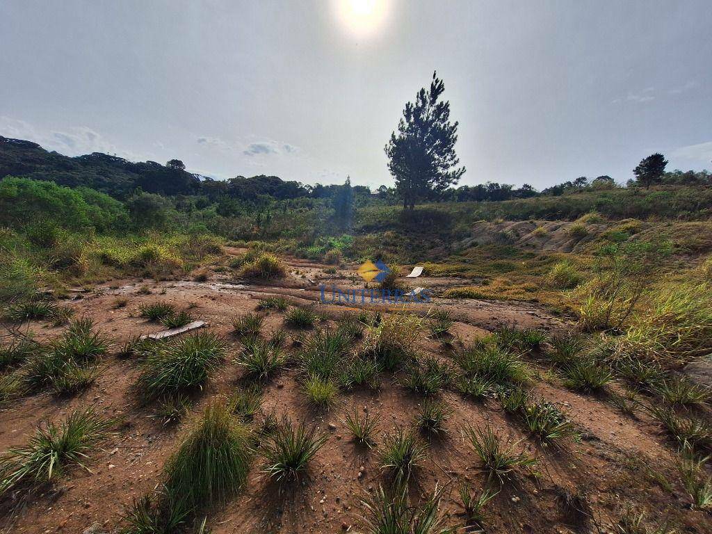 Terreno à venda, 575M2 - Foto 4
