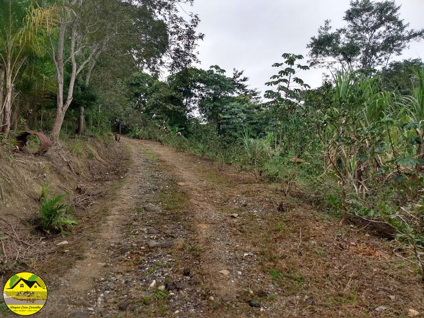 Fazenda à venda com 3 quartos, 30m² - Foto 19